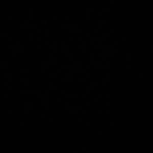 Meet your Posher, Acaycia